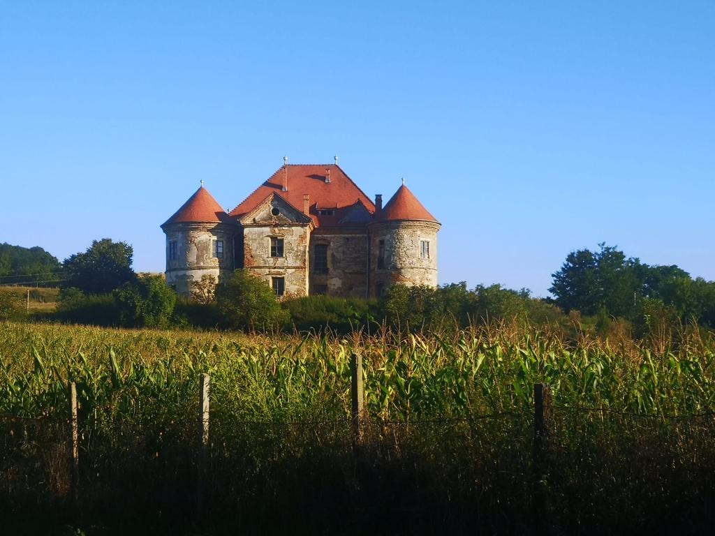 CASTELE FĂRĂ PRINȚI